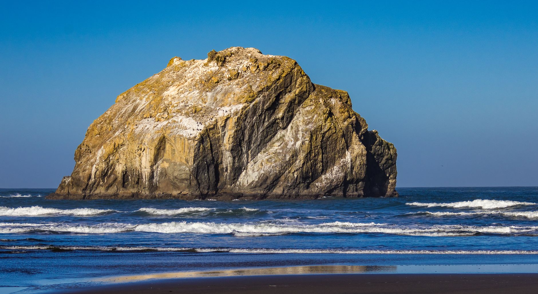 Dramatic winter sea stack and driftwood on Oregon shoreline